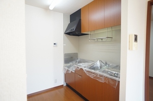 セルサスハイム 203号-9