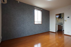 プランドゥール壱番館 205号-3