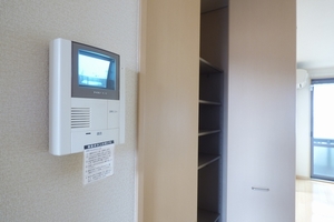 ディエース 206号-8