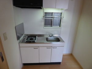 フラットヒルズ 102号-5