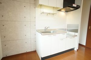 ブランドール大泉学園 201号-3