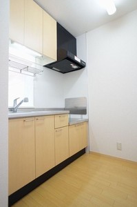 アスティオスⅡ 203号-5