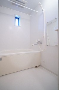 アスティオスⅡ 203号-8