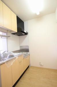 アスティオスⅡ 205号-6