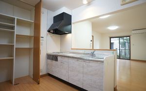 ナチュラ　コート 102号-2