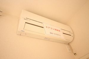 マレ シエール 101号-7