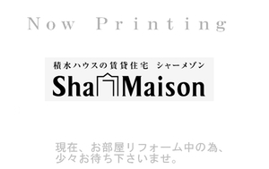 プレジール　Ⅱ 207号-5