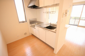 セイス グリシーナ 201号-4