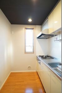 グリーン　ドバシ 206号-6