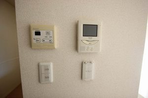 フェリチタ　雲雀 103号-11