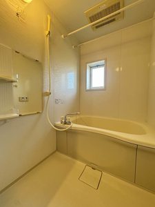 フェリチタ 雲雀 206号-11