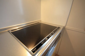 Ｍｅｒｒｙ　Ｉｓｌａｎｄ　Ⅲ 203号-5