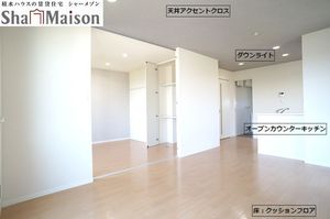 シャーメゾン ナガヨシ 201号-3