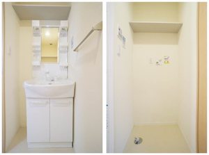 マンション鷹の巣（Ｂ） 102号-9