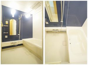 マンション鷹の巣（Ｂ） 102号-10