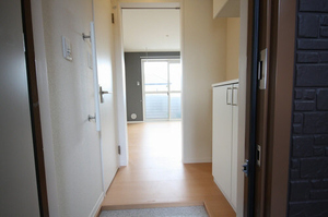 Sun Lavender 203号-5