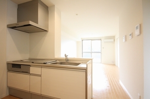 エヌ・メゾン 101号-5