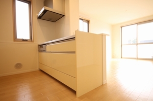 Luce Ⅳ 202号-3