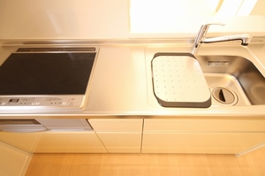 Luce Ⅳ 202号-4