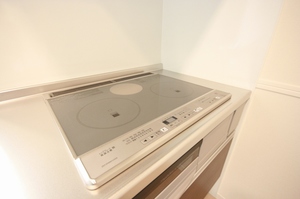 サリュート　Ⅱ 102号-8