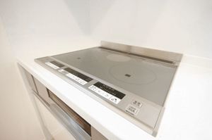 vista 冨士 105号-5