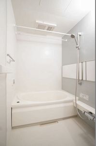 ブラウニー ロック 301号-9