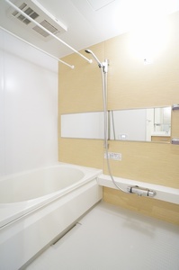 Ｓｈａｍａｉｓｏｎ　Ｆｕｊｉ 101号-9