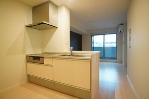 ヴィアーレ大成 203号-3