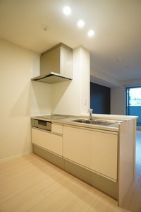 ヴィアーレ大成 203号-11