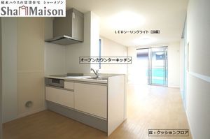 カーペンテリア 103号-4