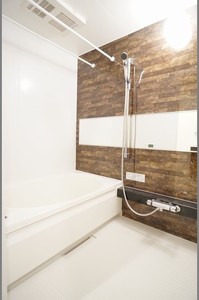 Ｐｒｅｍｉｅｒ　Ｍａｉｓｏｎ　Ⅱ 101号-9