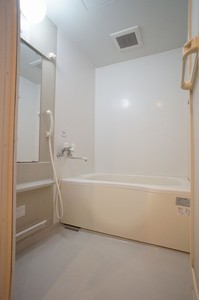 Ｃｈａｍｐｓ　ｄｅ　ｂｌｅ 302号-9