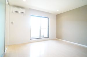 Ａｒｉａ－ｃａｓｔａ 203号-3