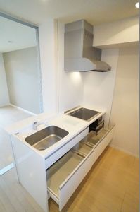 Ａｒｉａ－ｃａｓｔａ 203号-7