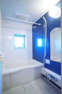 Ａｒｉａ－ｃａｓｔａ 203号-8