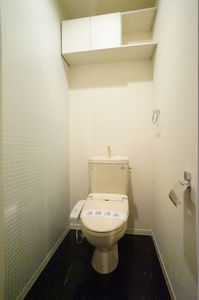 Ａｒｉａ－ｃａｓｔａ 203号-10