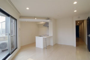 Ａｒｉａ－ｎｏｐｓ 213号-2