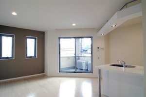 Ａｒｉａ－ｎｏｐｓ 213号-3