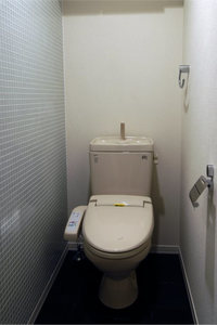 Ａｒｉａ－ｎｏｐｓ 213号-7