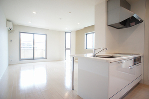 Ａｒｉａ－ｎｏｐｓ 216号-2