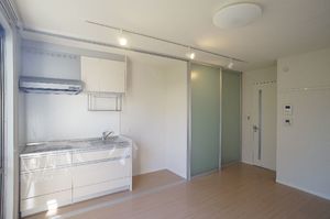 メゾン プルミエ 102号-3