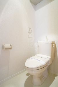 シャインコート 301号-7