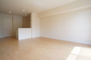 明星館Ⅱ 102号-3