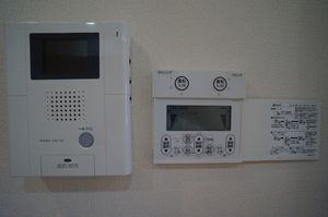 オルタンシア 202号-11