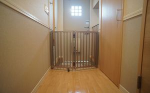 リヴィエールコートＡ 103号-8