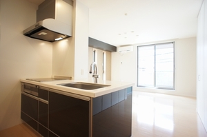 Aria-soleau 203号-4