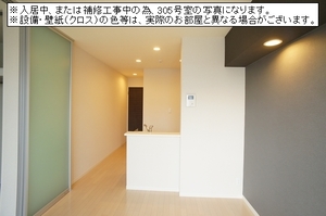 Princess Summer 303号-3