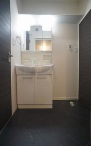 ヴィオラ 102号-10