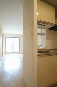 アサンテサーナ 203号-11