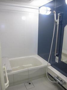 マンション鷹の巣（Ａ） 306号-10